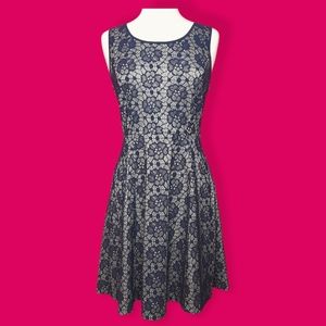 Enfocus Studio Navy Blue Dress